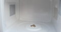 MICROWAVE RED STAMP RSM-2316 BRAND NEW FAULTY
