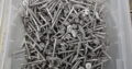 Batten Screw 65mm Stainless Steel 304 (1000pcs)