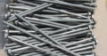 TYPE 17 SCREWS – 14G-10x 200mm – HEX HEAD (250pcs)