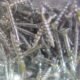 CHIPBOARD stainless steel SCREWS 8G x 32mm (200pc)