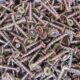 CHIPBOARD YELLOW ZINC SCREWS 8G-10 x 25mm (1000pc)