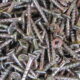 CHIPBOARD YELLOW ZINC SCREWS 8G-10 x 28mm (1000pc)