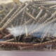 CHIPBOARD stainless steel SCREWS 8G x 45mm (200pc)