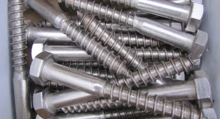 COACH SCREWS 316 Stainless Steel 12mm x 100mm