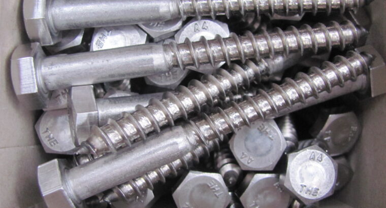 COACH SCREWS 316 Stainless Steel 10mm x 100mm