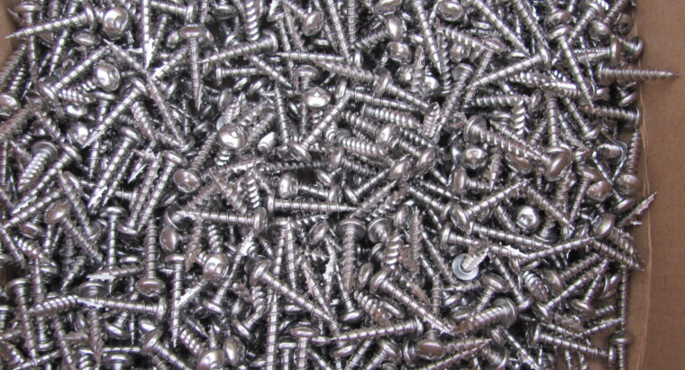 CHIPBOARD s/s 304 SCREWS 10G-10 x 25mm (1000pcs)