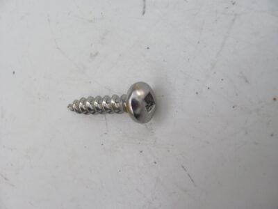 CHIPBOARD s/s 304 SCREWS 10G-10 x 25mm (1000pcs)