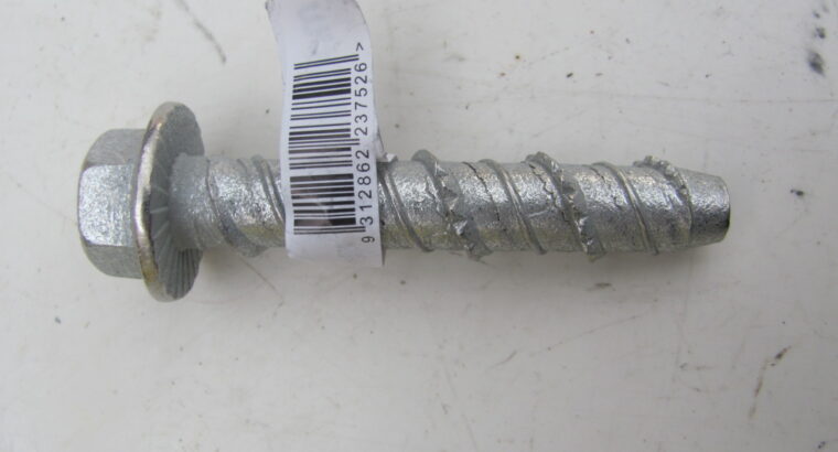 ANCHOR SCREWBOLT GALVANIZED 10mm x 60mm