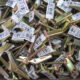 SPRING TOGGLES 3mm x 50mm