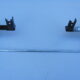 BASE ONLY for SONY KDL-50W800B without TOP