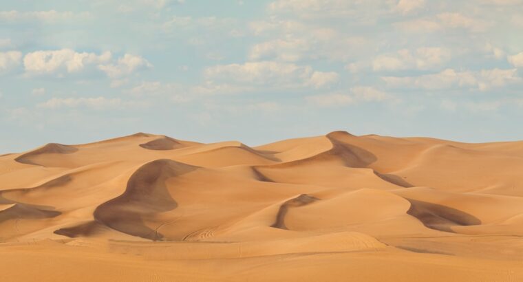 Your Favourite place in Dubai
