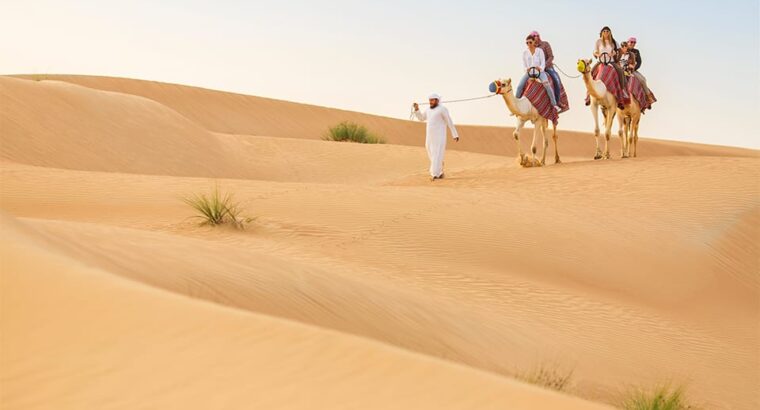 Dubai desert safari