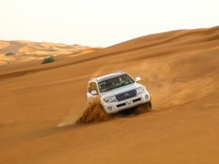 Looking for amazing way to see the Dubai desert?