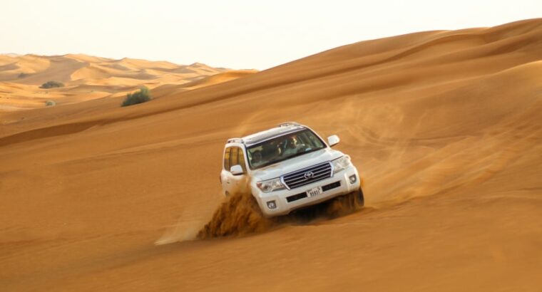 Looking for amazing way to see the Dubai desert?