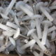 Nylon Nail-In Mushroom Head 304 S/S 5mm x 25mm
