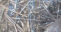 STAINLESS STEEL Blind Rivets 3.2mm x 6.4mm (1000)