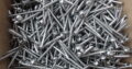 CHIPBOARD s/s 304 SCREWS 10G-10 x 65mm (500pcs)