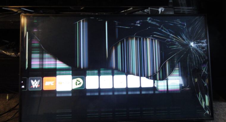 BROKEN SCREEN TV LG 49UQ91006LA WORKS