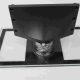 STAND for VEON SRO9110 with Screws